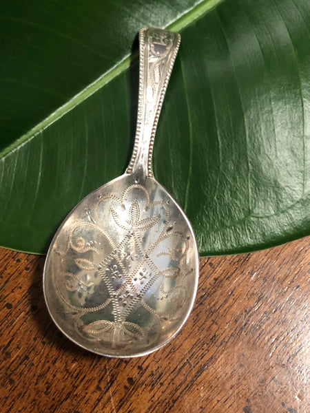 SOLD Beautiful Victorian Sterling Silver Caddy Spoon by George Adams.