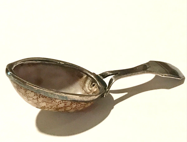 SOLD English George III Silver Mounted Natural Shell Caddy Spoon