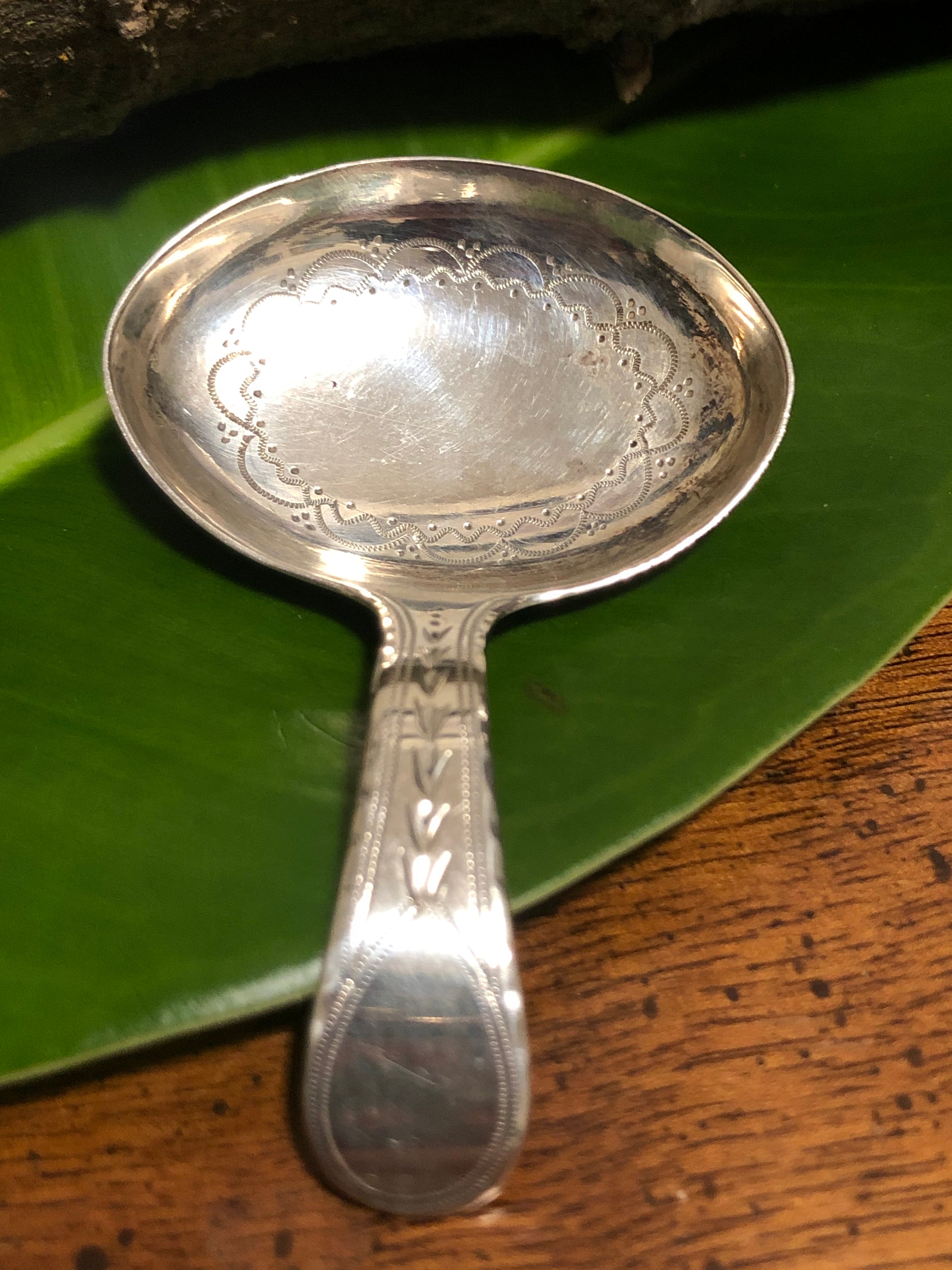 George III Sterling Silver Caddy Spoon by John Turner
