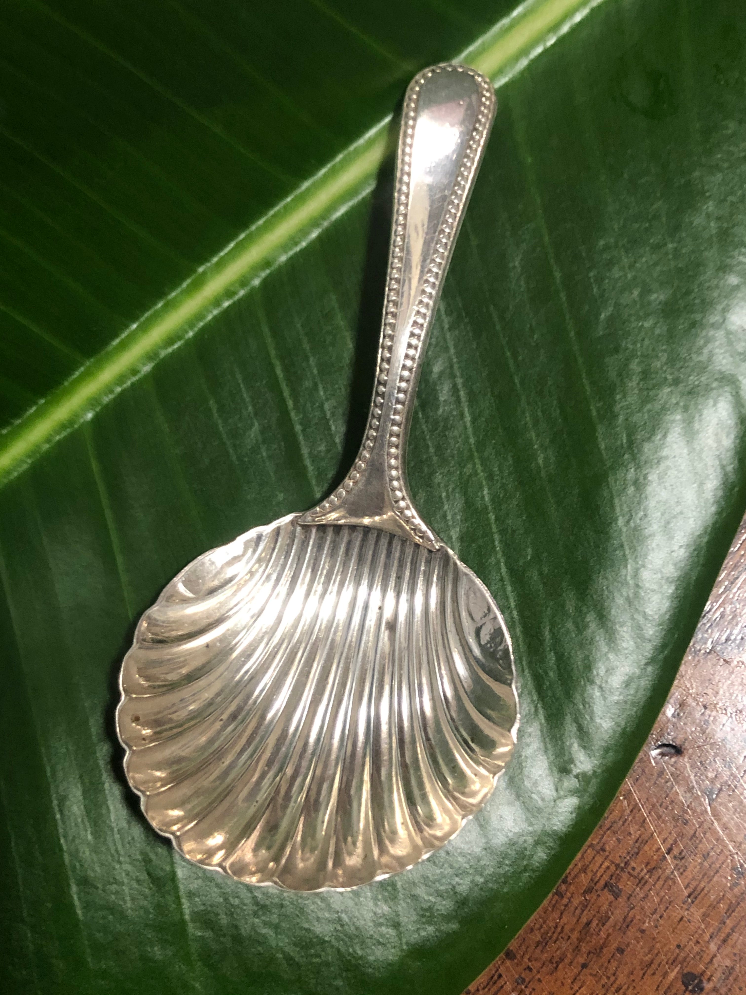 Rare George III Sterling Silver Caddy Spoon by Nathaniel Smith & Co.